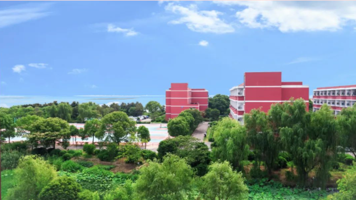 苏州托普信息职业技术学院高起专的条件