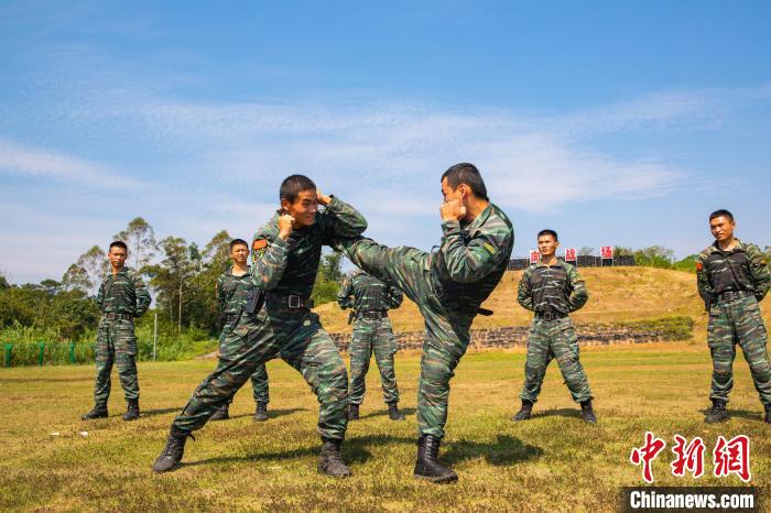 特种兵军体拳挡击冲拳图片