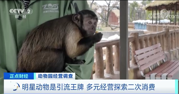 南京红山森林动物园去年亏千万 如今带火"云认养"新模式