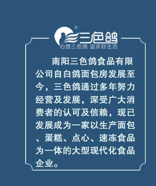 河南南阳三色鸽食品有限公司的网络营销分析报告