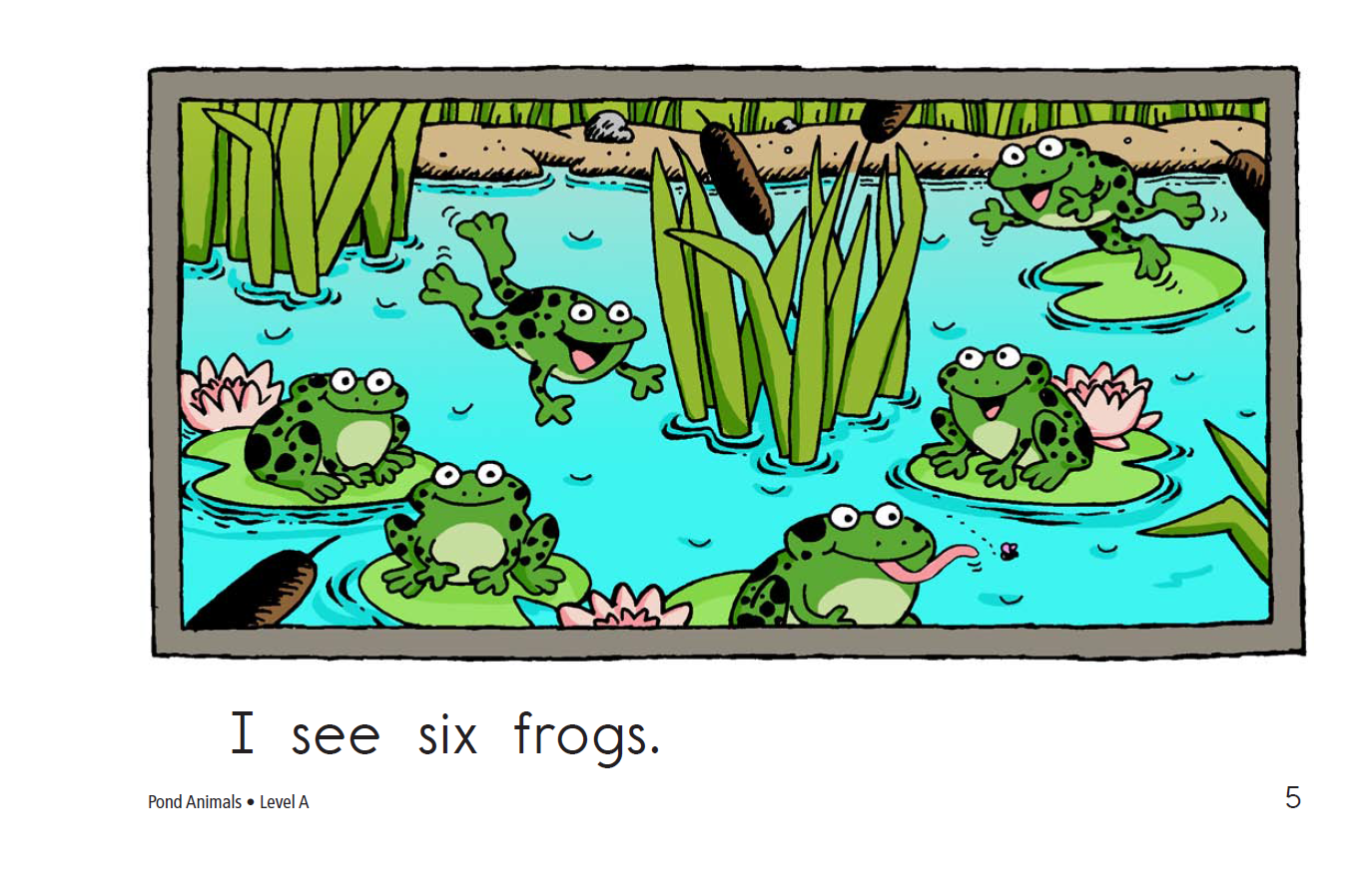 aj学 raz 英文分级阅读 level a 001 pond animals