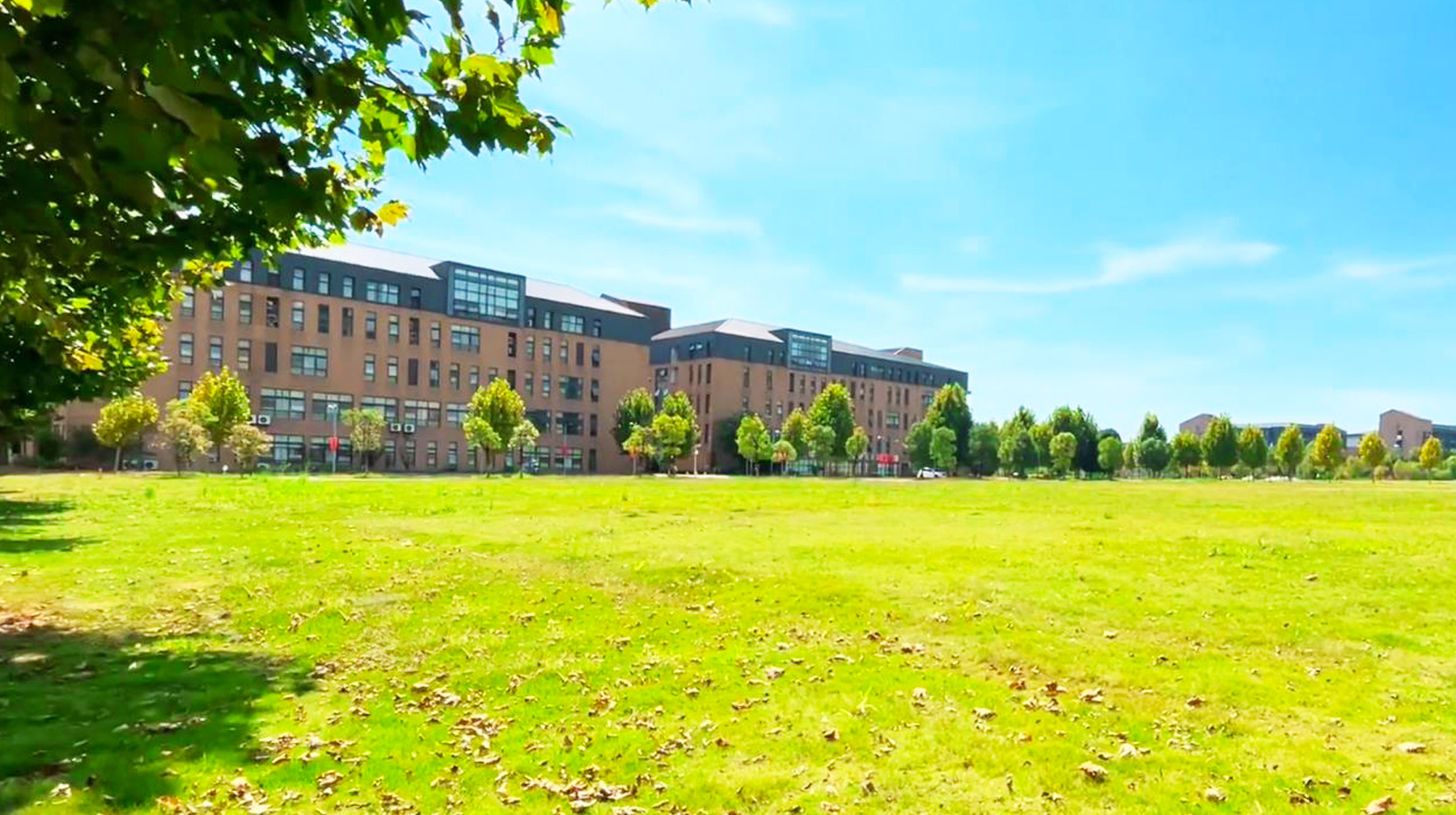 坐在校园里看群山绵延风景,随拍武汉江夏晴川学院,学习的好地方