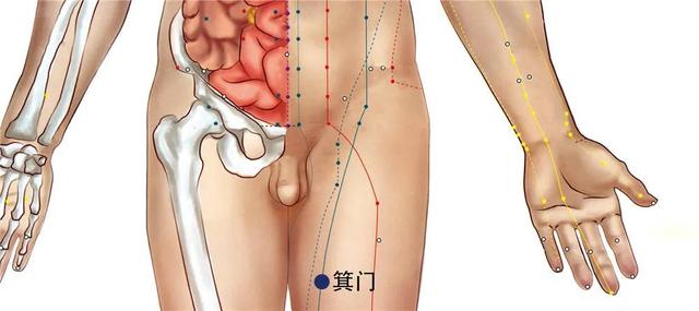 箕门的准确位置图片图片