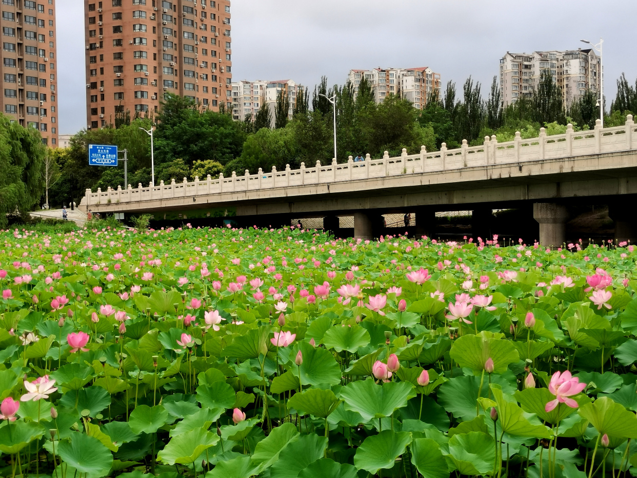 沈阳北塔公园13景点美煞人