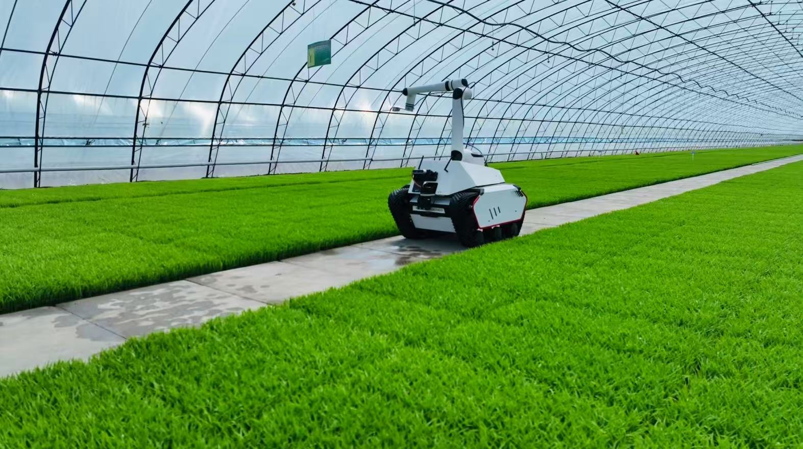 在北大荒,遇见农业的未来