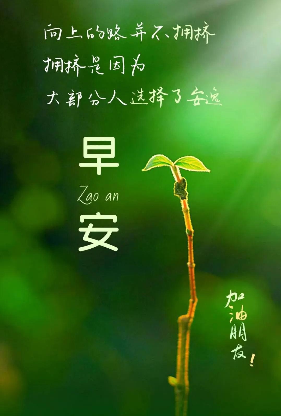 干净简短的励志短句(干净简短励志短句8个字)