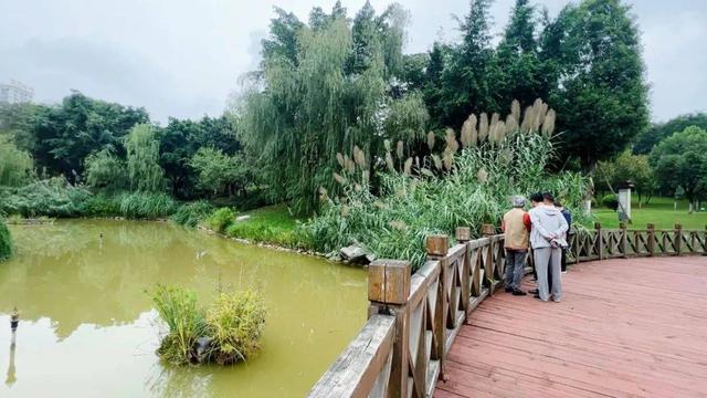 蘇園文化考察眉山行:(一)蘇轍公園——照水菡萏細細香