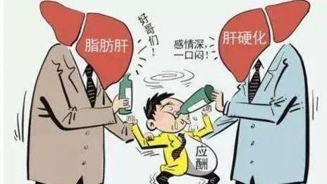 为什么说喝酒伤肝?带你揭秘喝酒对肝脏的6大危害