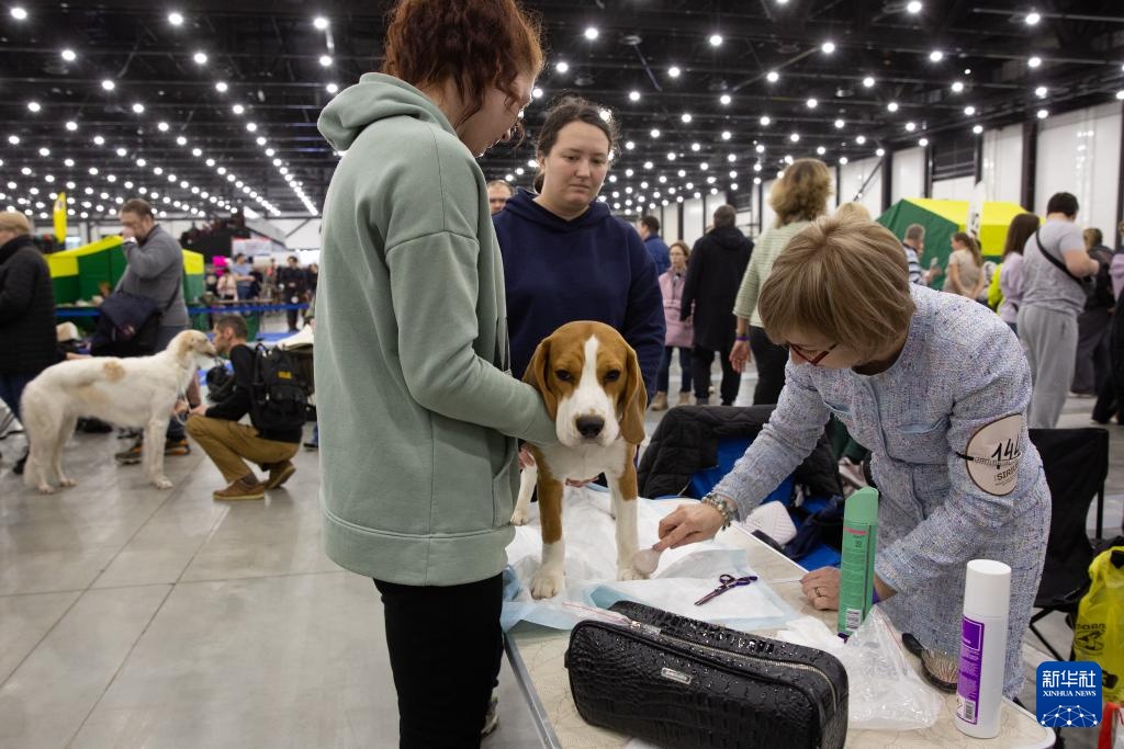 圣彼得堡举行年度春季宠物展