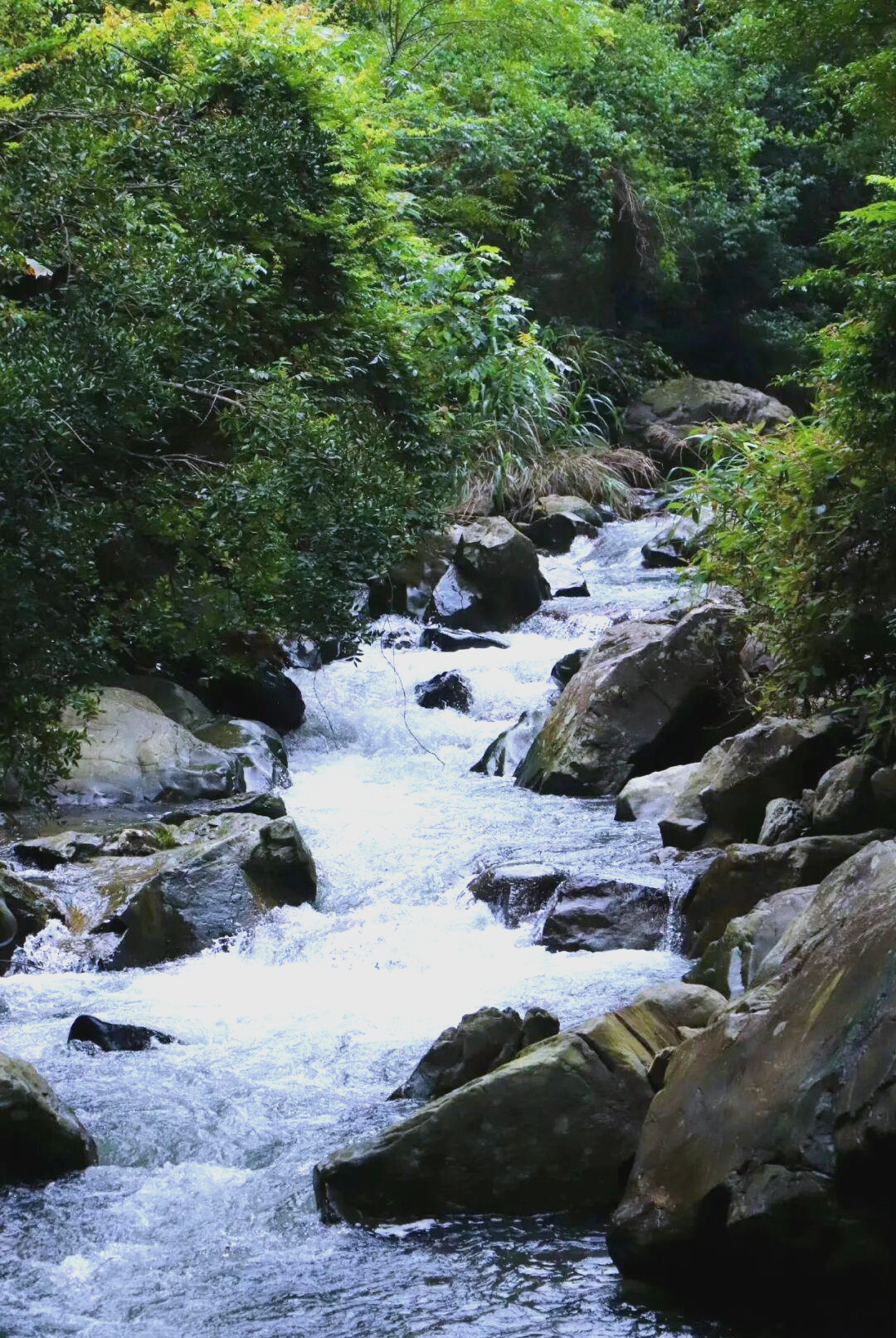 南平夏日避暑全攻略:溪源峡谷到麻阳溪的绝佳之旅