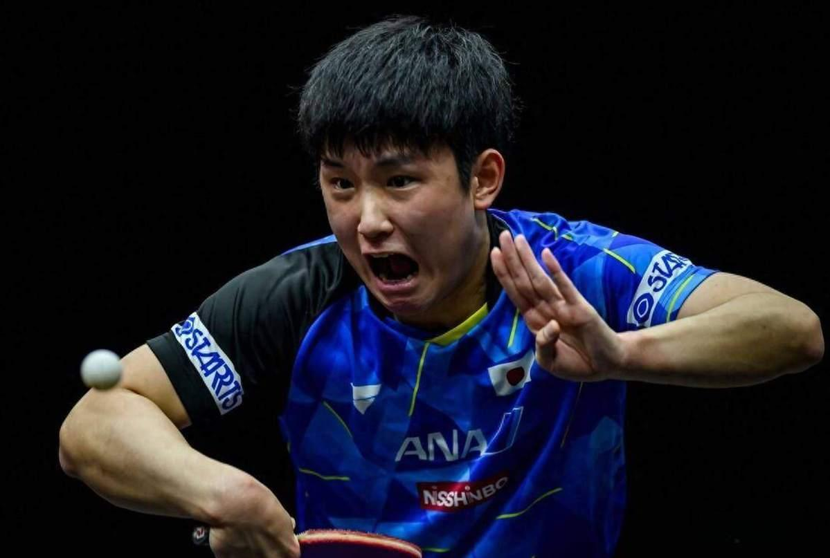 张本智和日本乒乓球运动员激烈比赛中的专注与奋力拼搏瞬间