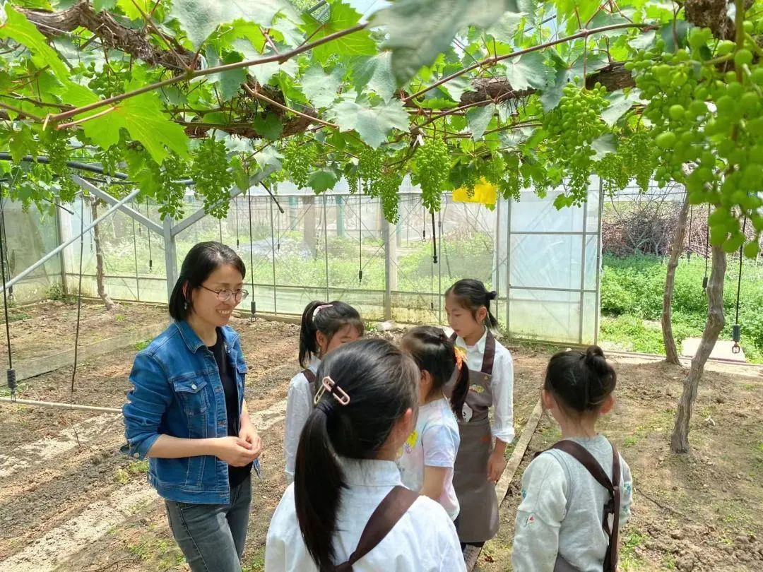 馬陸葡萄主題公園開園啦!葡萄啥時候熟?