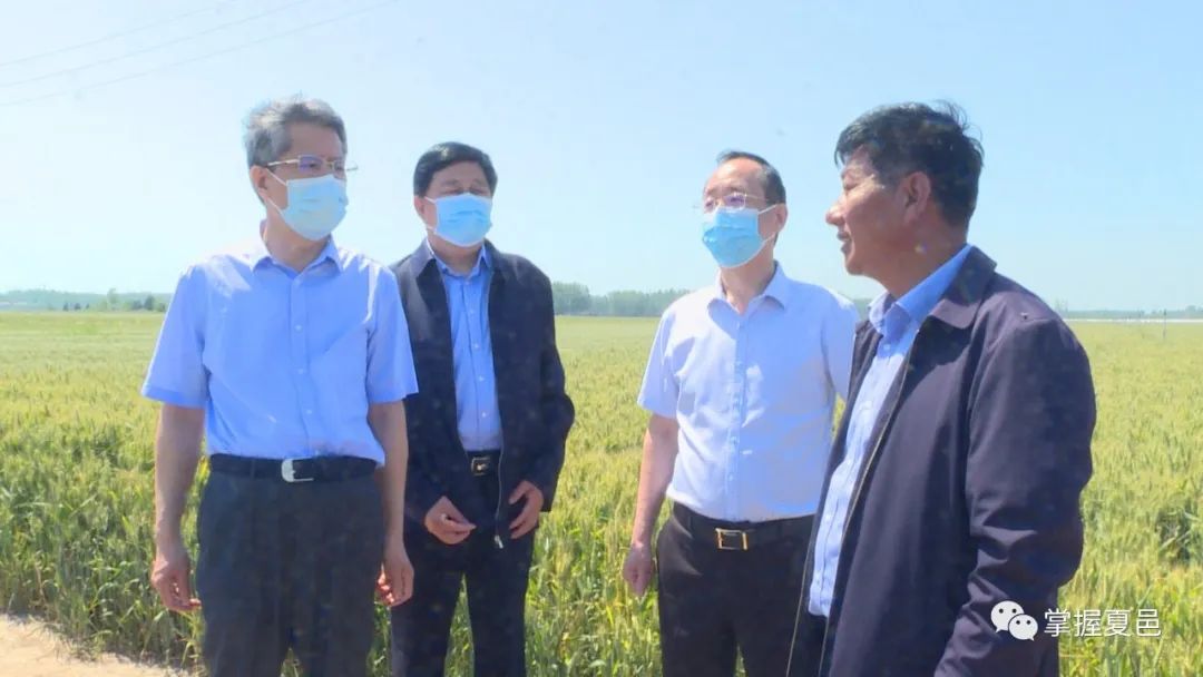 副市长潘峰到我县调研指导高标准农田建设工作