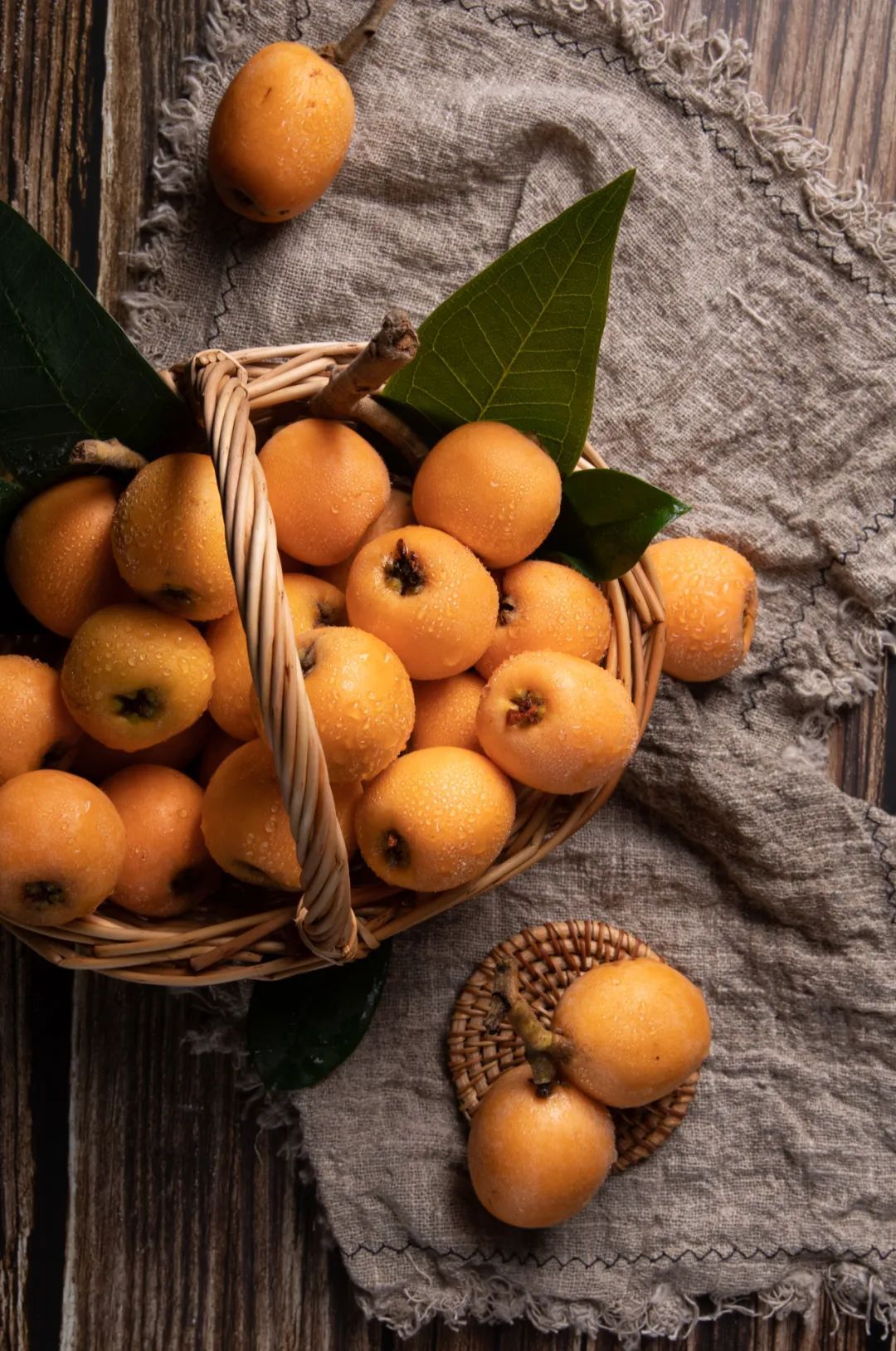 初夏乘兴游开阳,摘尽枇杷一树金