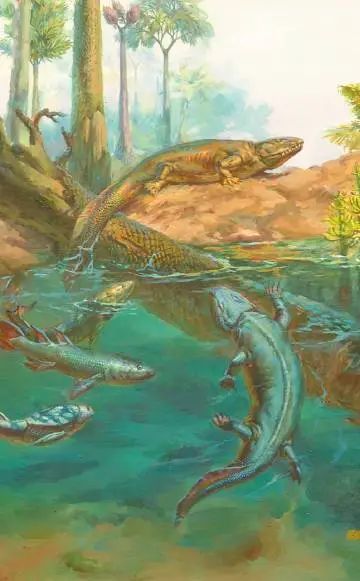 科普文章|生命的突破