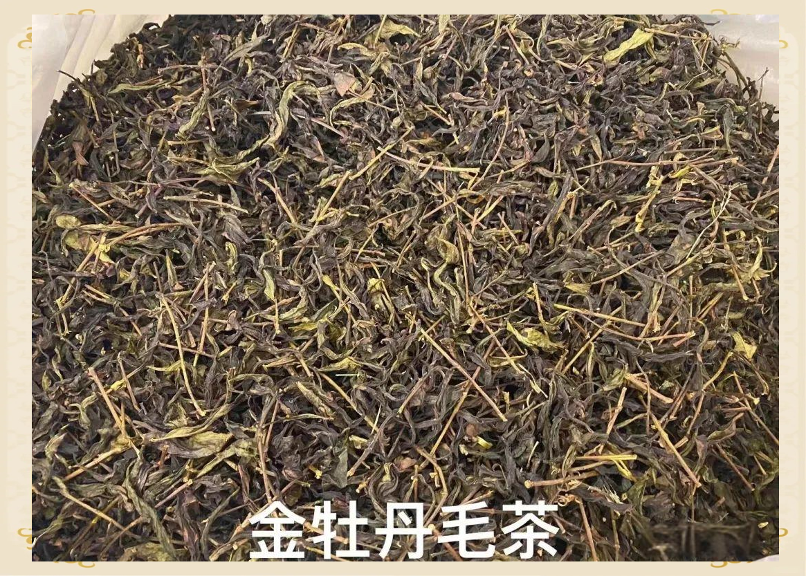 深入探索武夷岩茶金牡丹的魅力