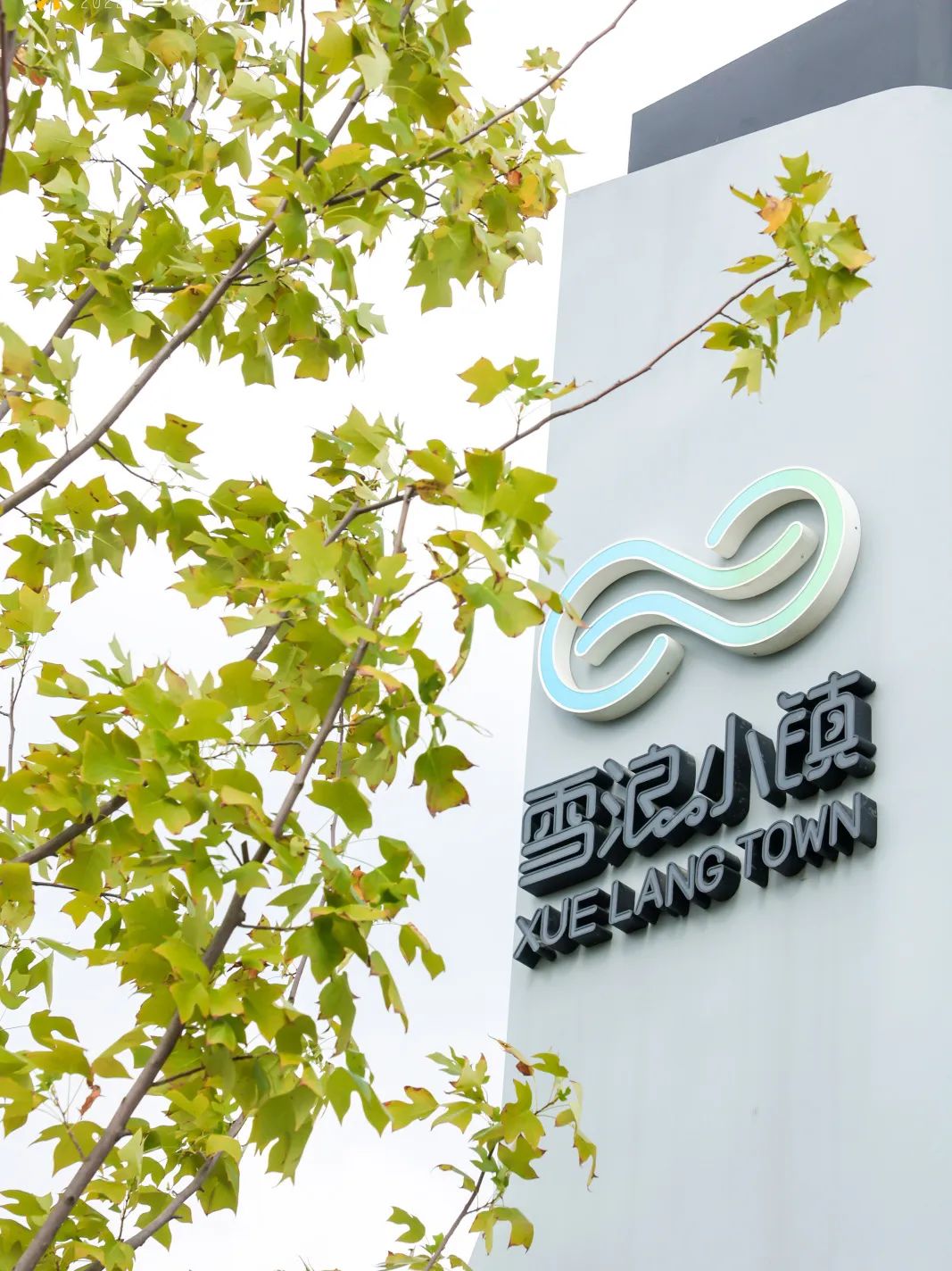 2022雪浪大会启幕!