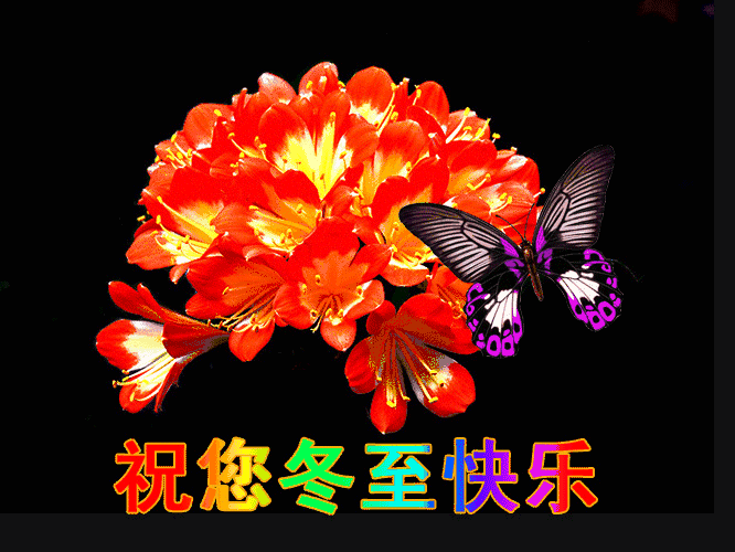 2021最新冬至节气问候祝福动画表情图片