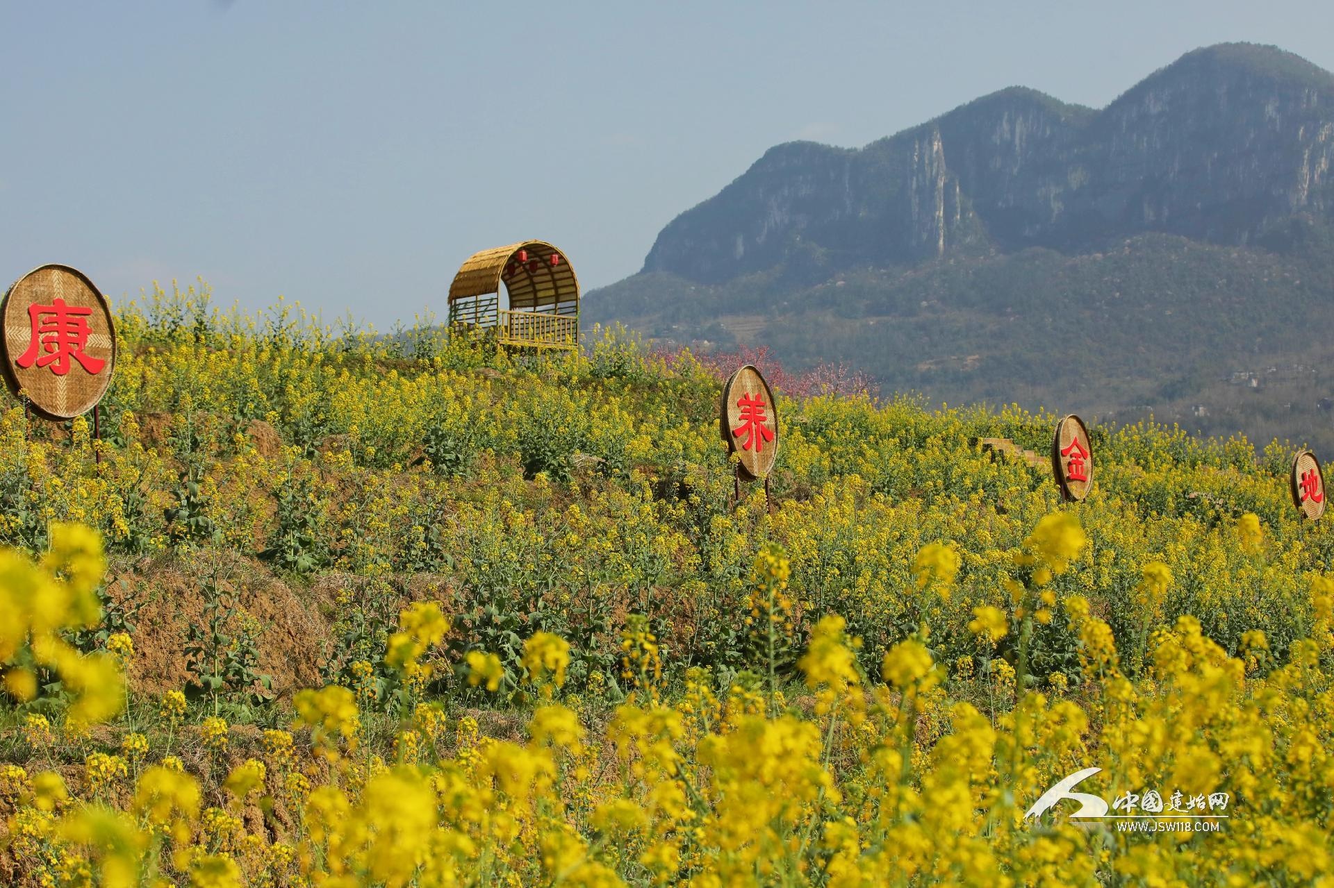 诗画景阳油菜花海上榜"湖北特色油菜花海"推介名单