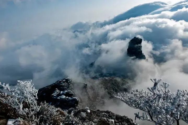 梵淨山@你來看雪啦!