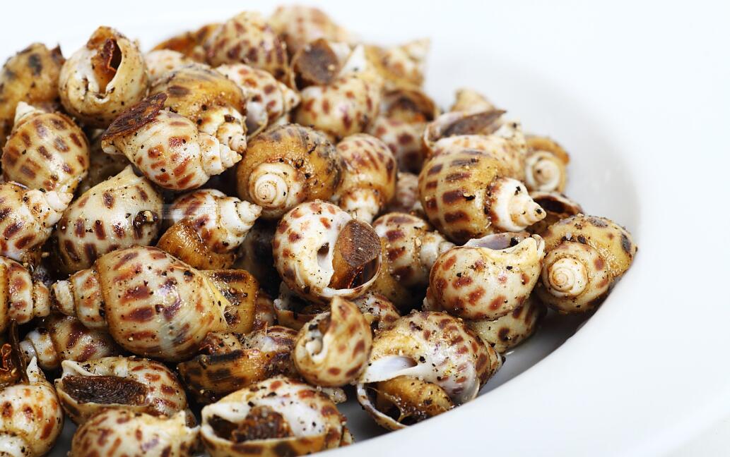 泰国冻(花)凤螺进口报关手续及商品编码关税「清关知识」