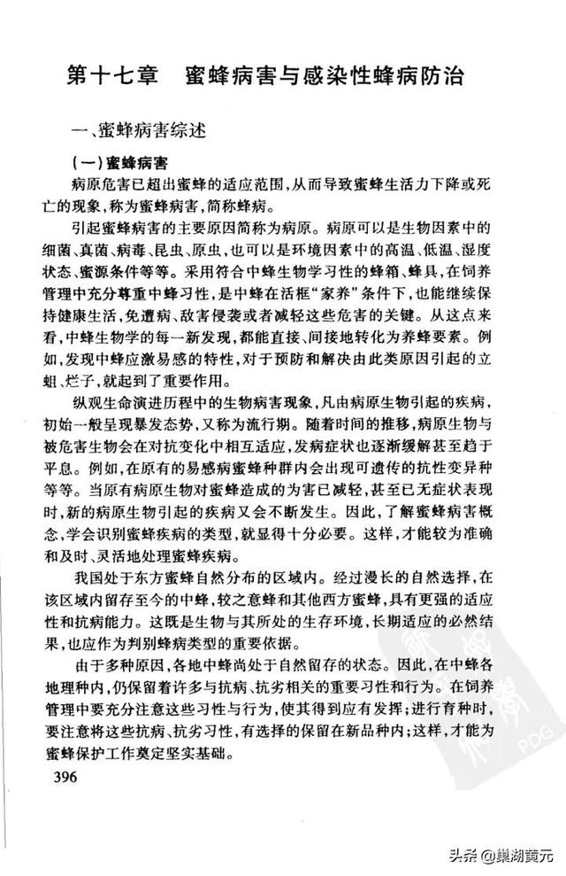 中华蜜蜂养殖知识 中华蜜蜂养殖知识点总结