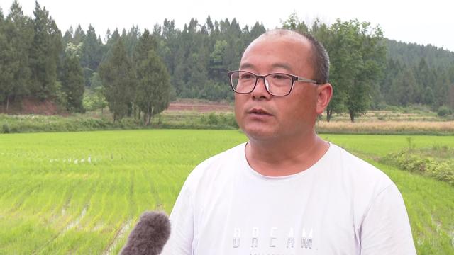 蓬安徐家镇油气勘探图片