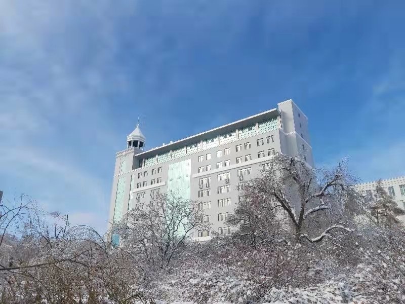 「雪落象牙塔」哈理工:新雪初霁 冬日可爱