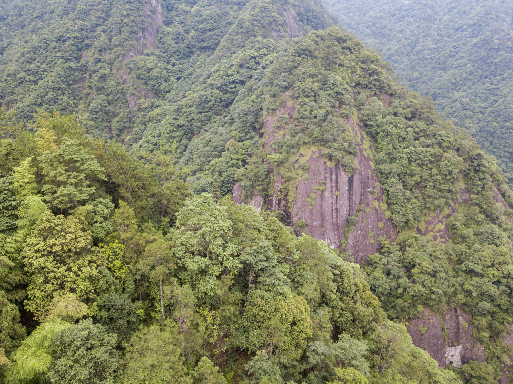 铜铃山国家森林公园图片