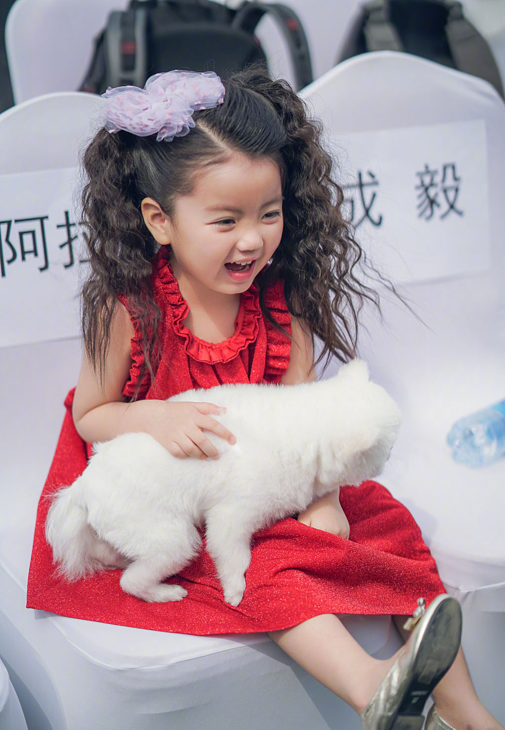 4岁童星阿拉蕾,年入"百万"养弟弟,如今状态让人担忧