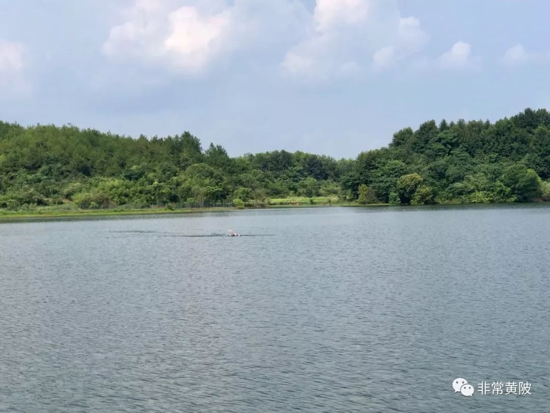 美食 宋代·苏轼 元丰七年十二月二十四日 从泗州刘倩叔游南山 细雨