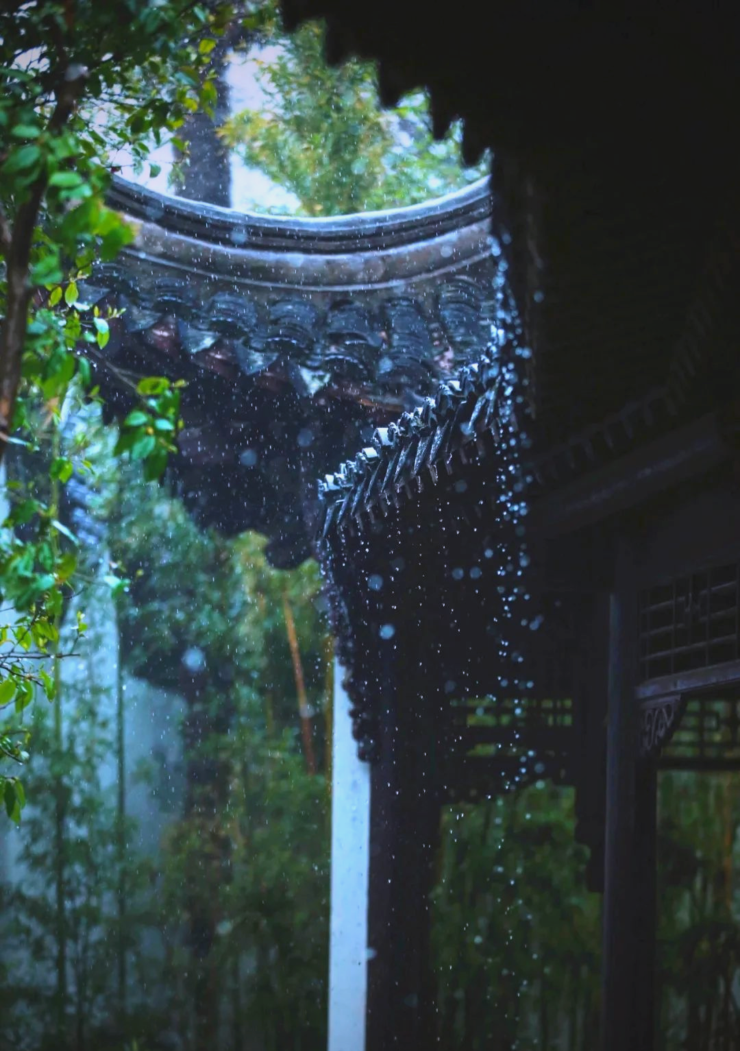 中国雨景:探寻众多雨的名字与故事