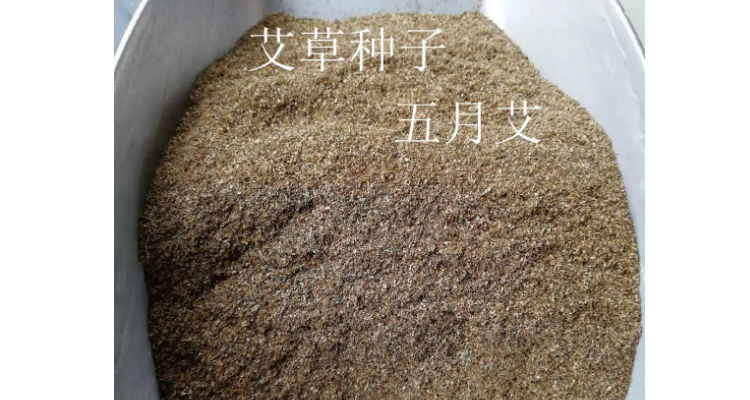 请问艾草有种子吗