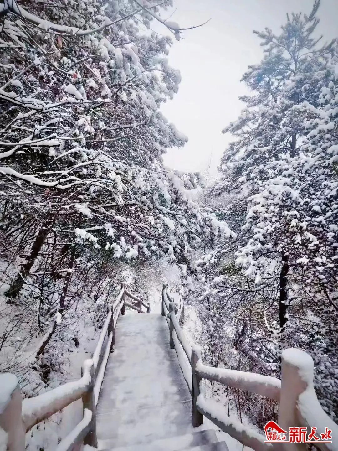 甘肃天水雪景图片