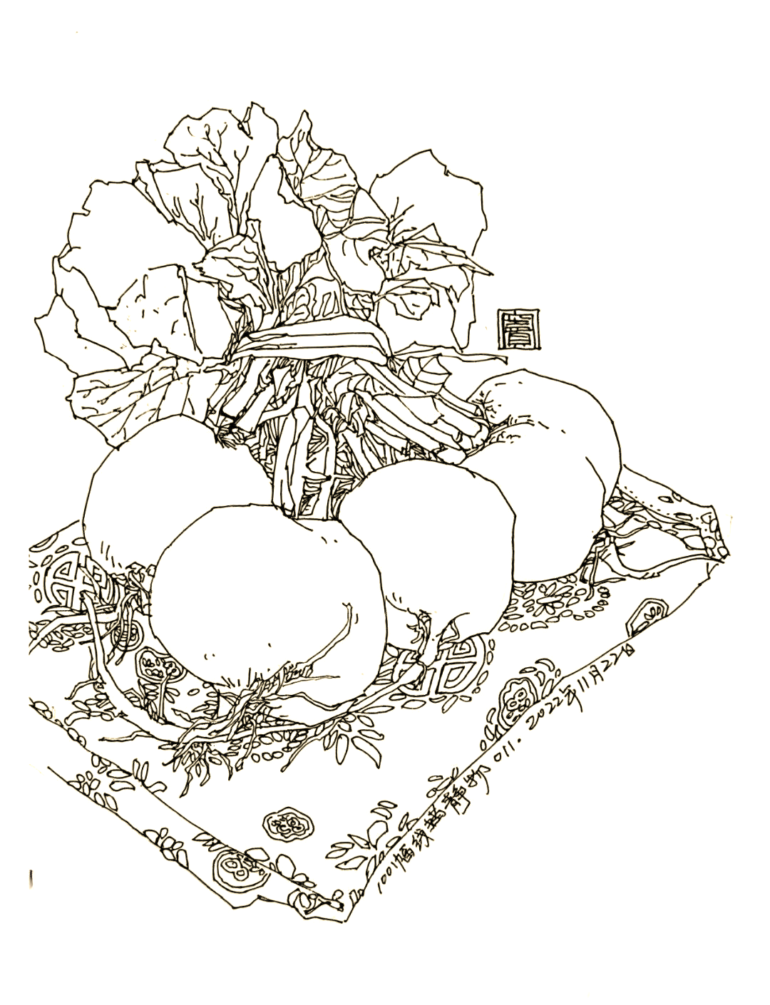 100幅钢笔画静物,让生活更美好