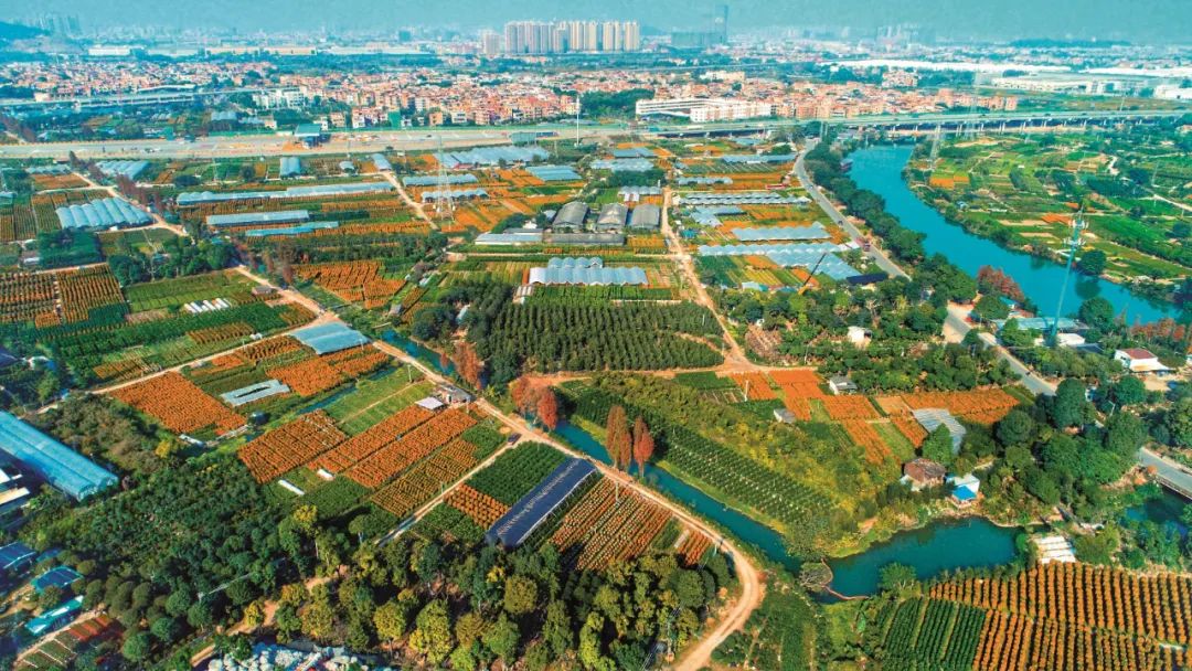 顺德还加快农村一,三产发展