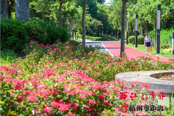 玫瑰湖公园鲜花簇拥