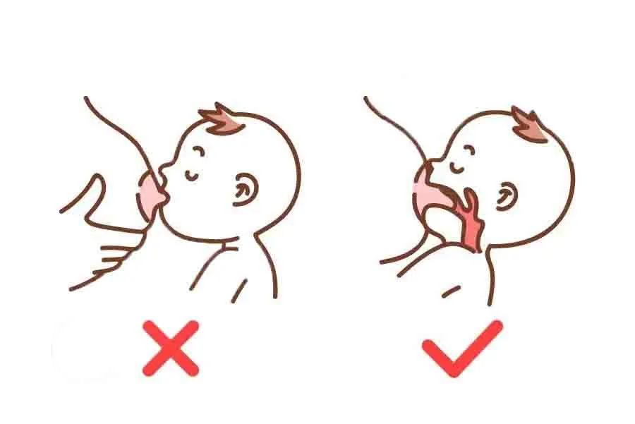 姿势 对于母乳宝宝来说,避免吞入过多空气,要从尝试正确的吃奶方式
