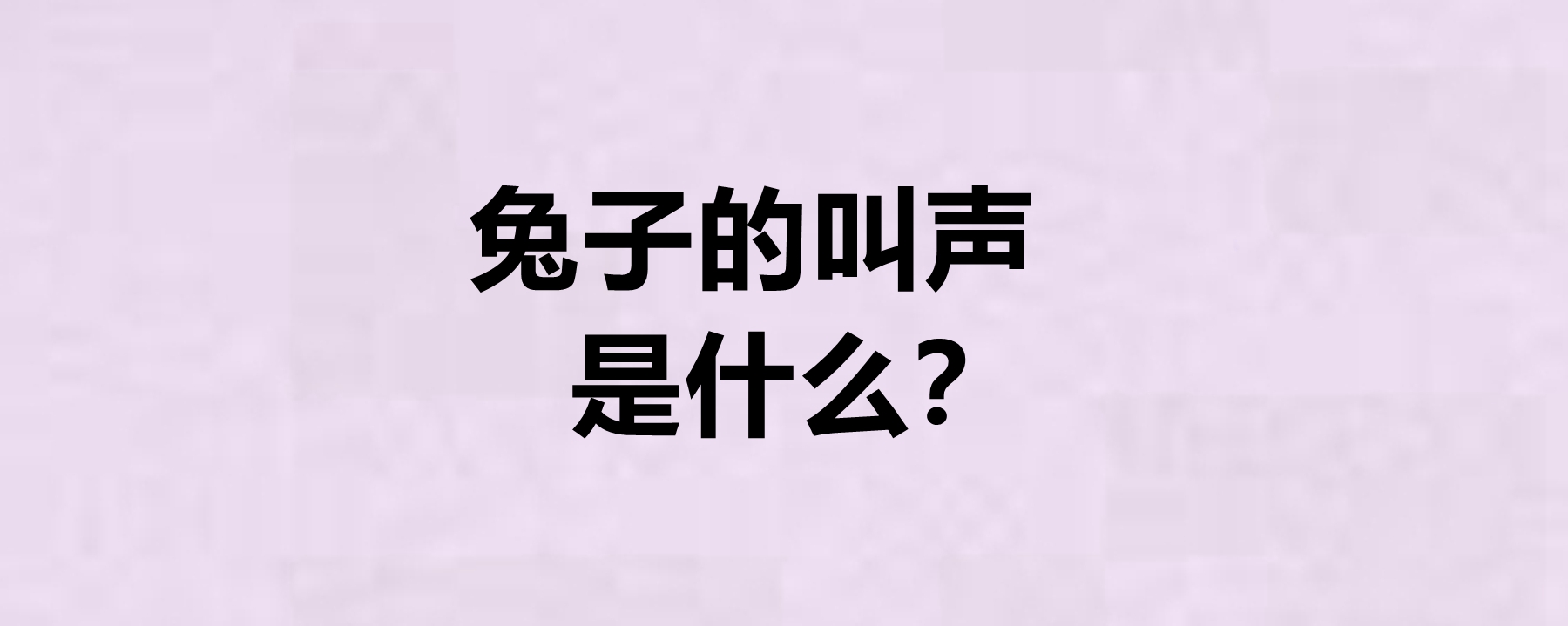 兔子的叫声是什么?兔子的种类有哪些?