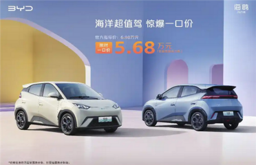 市区代步神器！A00级电车销量翻倍 占比超1/5