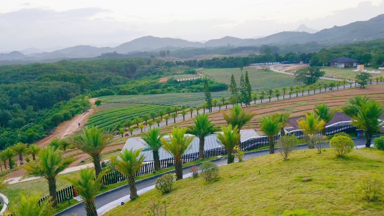 乡约海南·作家游记|荆歌:喜禾农场——360度的千里江山图