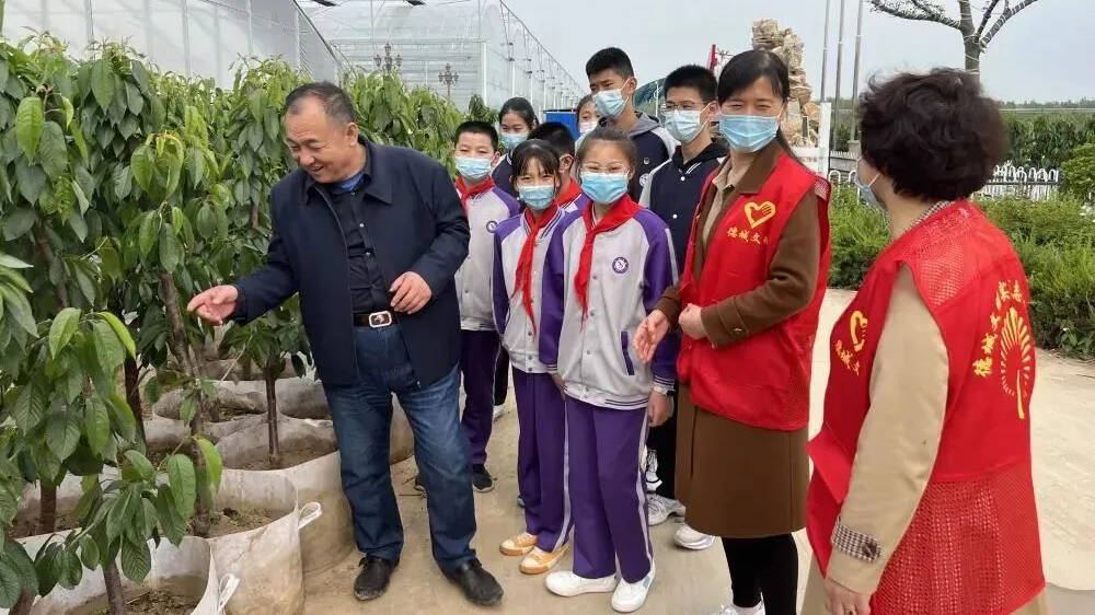 "五大振兴"互为支撑协同发展 德州市德城区乡村振兴开新局