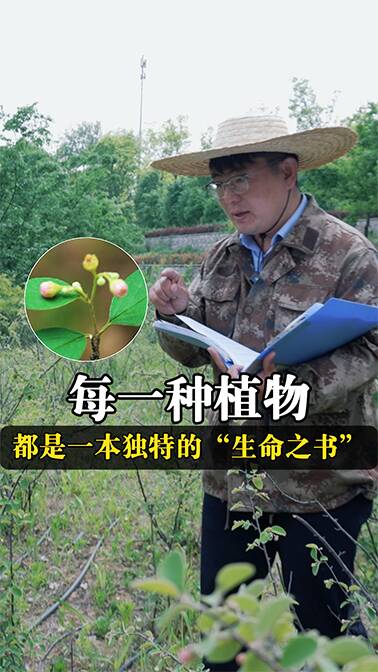 每一种植物，都是一本独特的“生命之书”