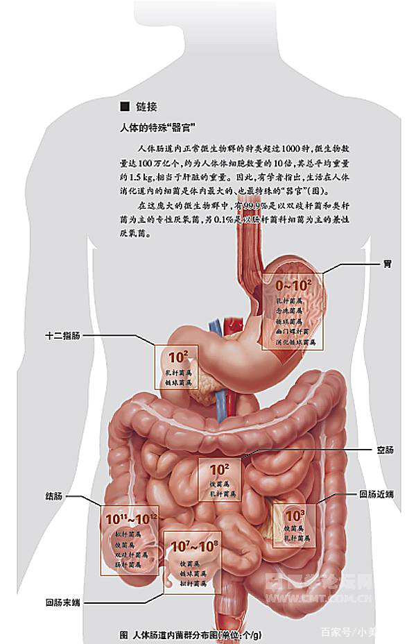 关于湿疹那些事!插图(6) 关于湿疹那些事!插图(6)