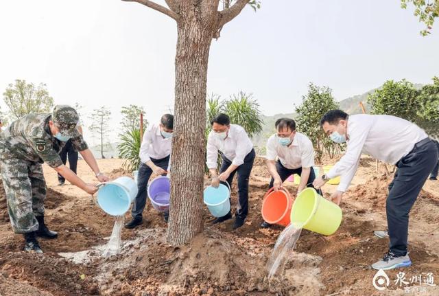 栽种春之绿意共建绿色泉州市四套班子领导参加义务植树活动