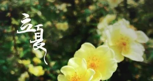 喜来春·立夏「张雨体」(词林正韵)●文/张元平(湖北)