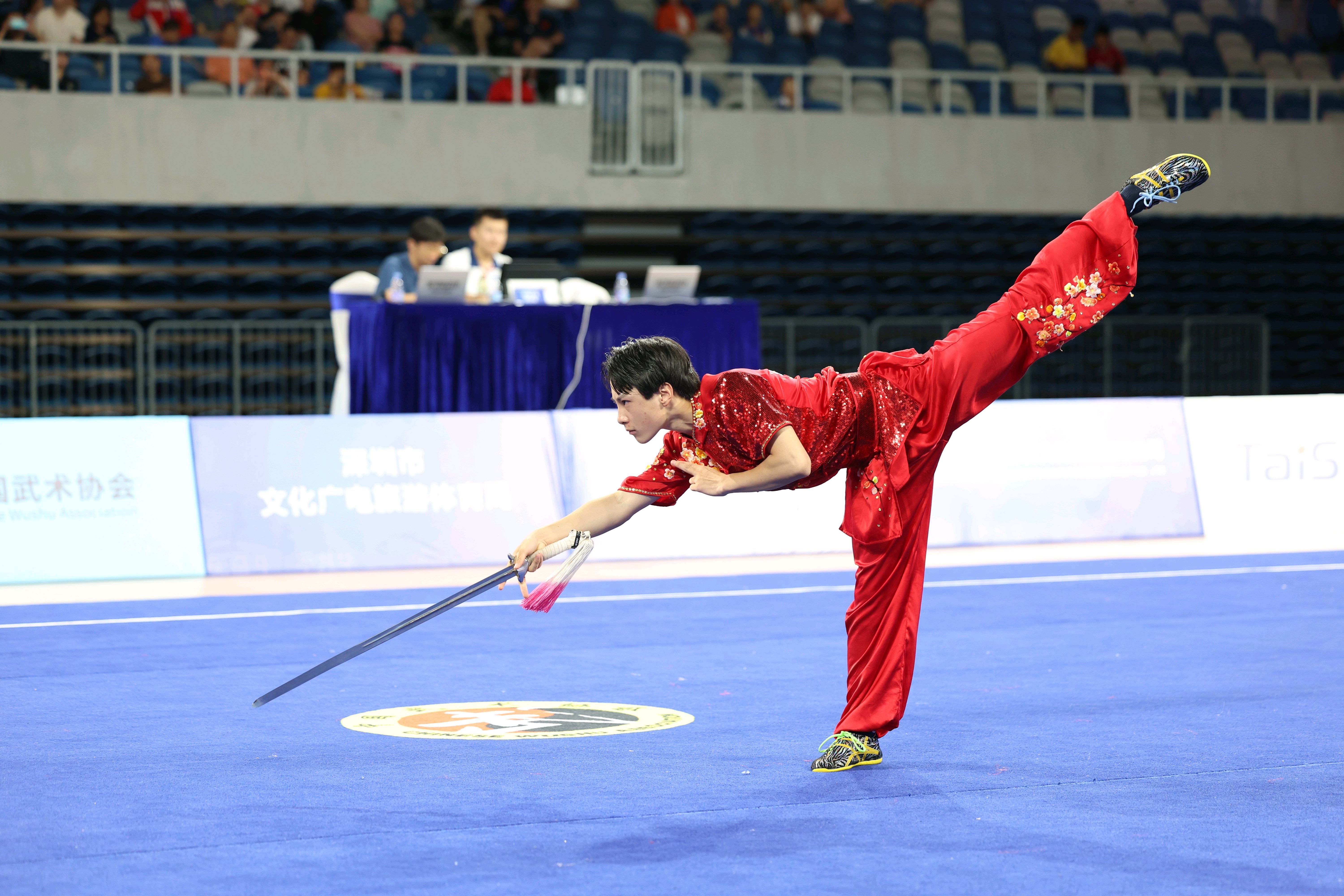 全国武术套路锦标赛(男子赛区)收官,深圳问鼎太极