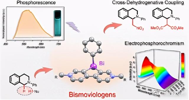 赞!西安交大科研人员在含铋紫精领域取得重要进展