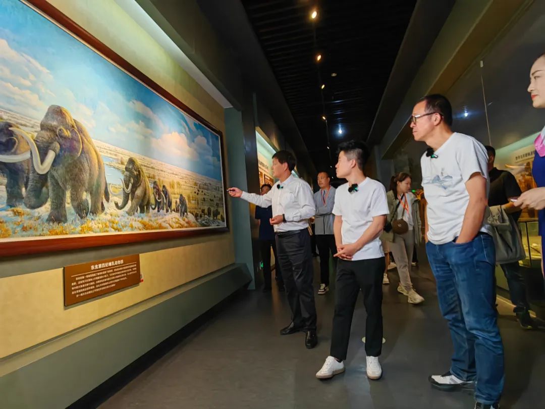 东方甄选来到大庆博物馆,董宇辉说:现在我理解了,为什么你们博物馆
