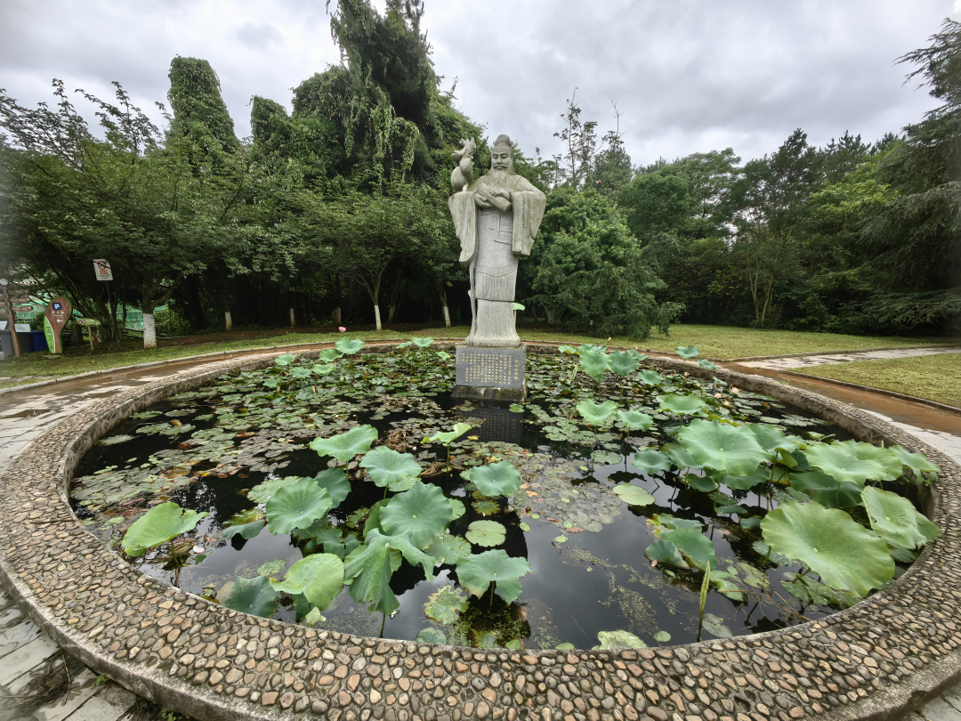 贵阳药用植物园 荷花盛开引客来